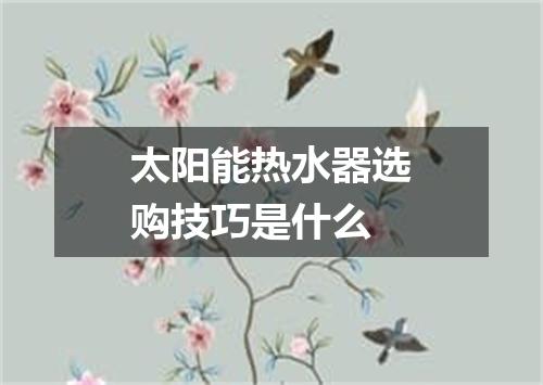 太阳能热水器选购技巧是什么