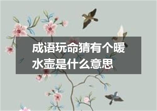 成语玩命猜有个暖水壶是什么意思