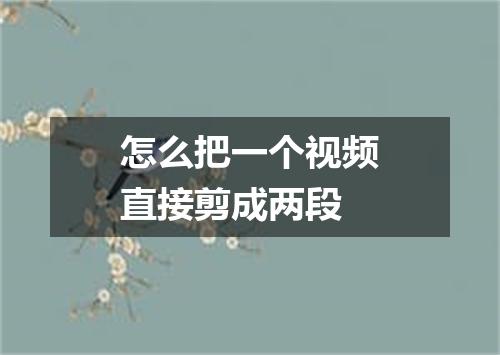 怎么把一个视频直接剪成两段