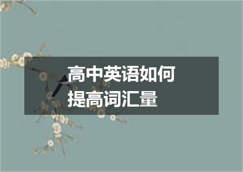 高中英语如何提高词汇量
