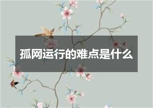 孤网运行的难点是什么