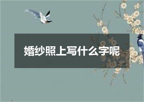 婚纱照上写什么字呢