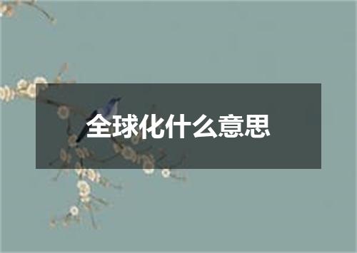 全球化什么意思