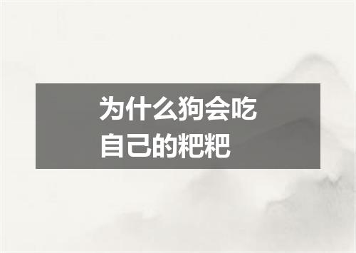 为什么狗会吃自己的粑粑