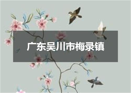 广东吴川市梅录镇