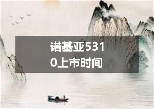 诺基亚5310上市时间
