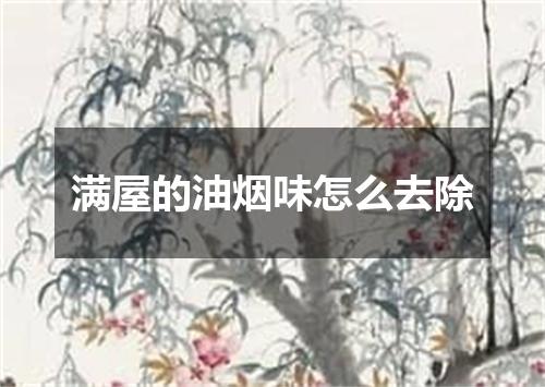 满屋的油烟味怎么去除