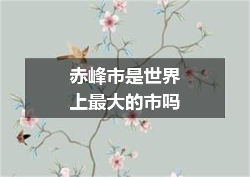 赤峰市是世界上最大的市吗