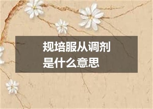 规培服从调剂是什么意思