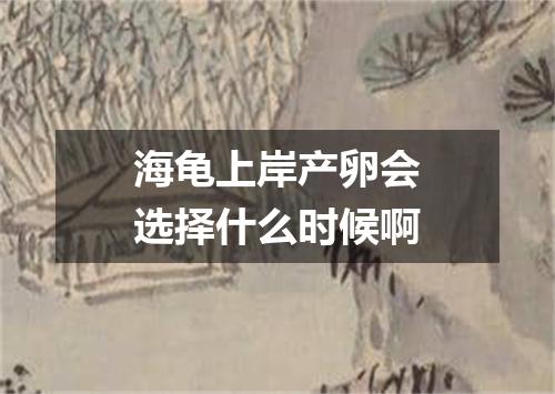 海龟上岸产卵会选择什么时候啊