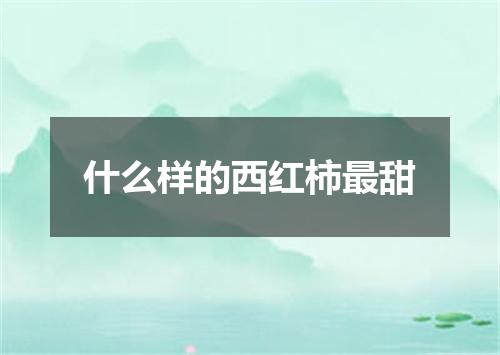 什么样的西红柿最甜