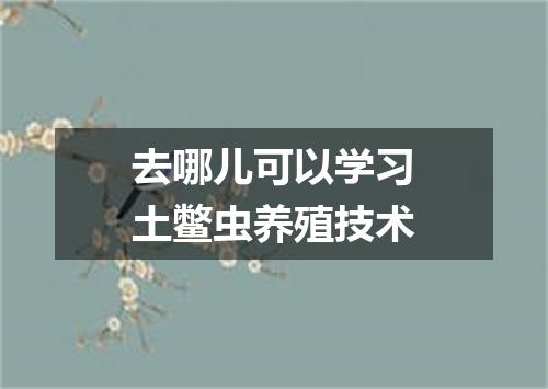 去哪儿可以学习土鳖虫养殖技术
