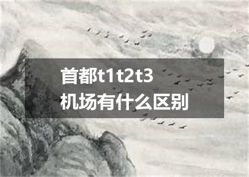 首都t1t2t3机场有什么区别