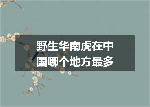 野生华南虎在中国哪个地方最多