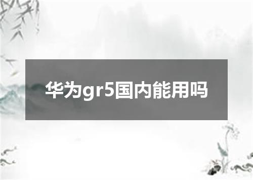华为gr5国内能用吗