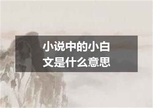 小说中的小白文是什么意思