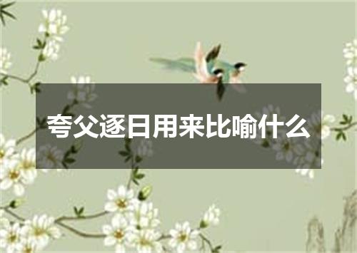 夸父逐日用来比喻什么