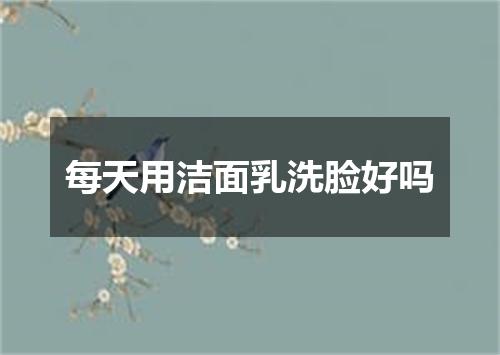 每天用洁面乳洗脸好吗