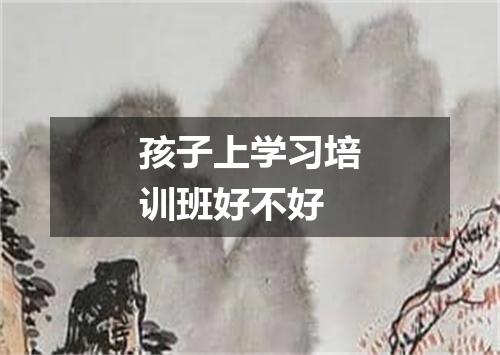 孩子上学习培训班好不好