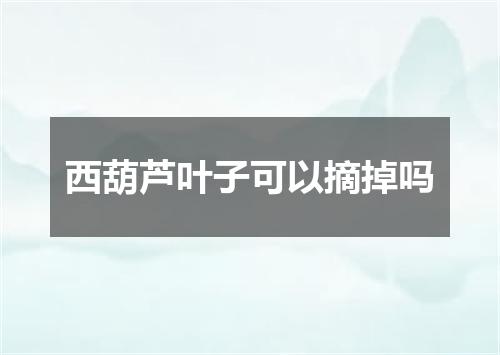 西葫芦叶子可以摘掉吗