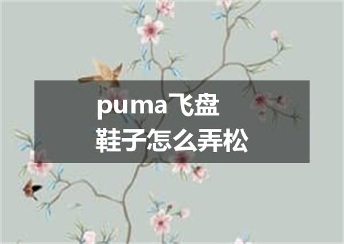puma飞盘鞋子怎么弄松