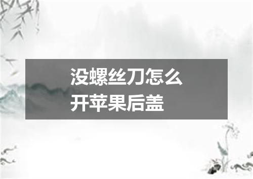 没螺丝刀怎么开苹果后盖