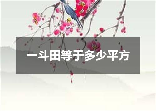 一斗田等于多少平方