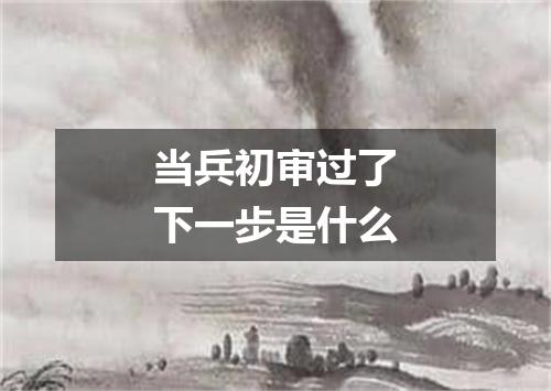 当兵初审过了下一步是什么