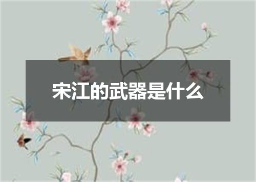 宋江的武器是什么