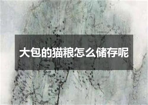 大包的猫粮怎么储存呢