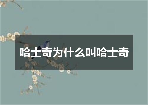 哈士奇为什么叫哈士奇