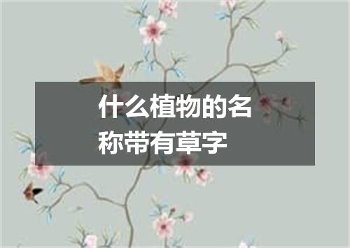 什么植物的名称带有草字