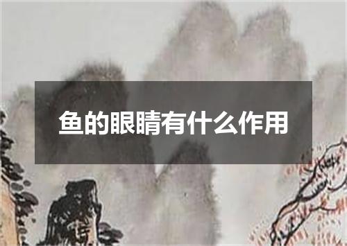 鱼的眼睛有什么作用