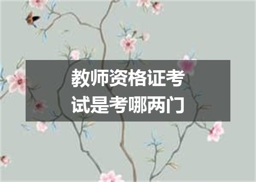 教师资格证考试是考哪两门