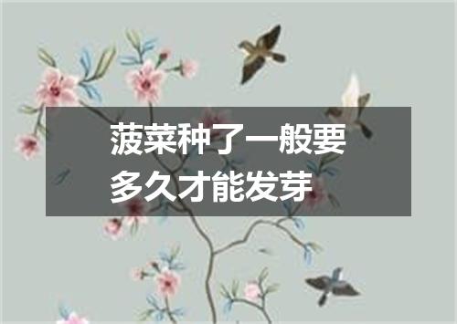 菠菜种了一般要多久才能发芽