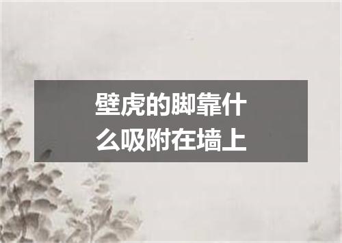 壁虎的脚靠什么吸附在墙上