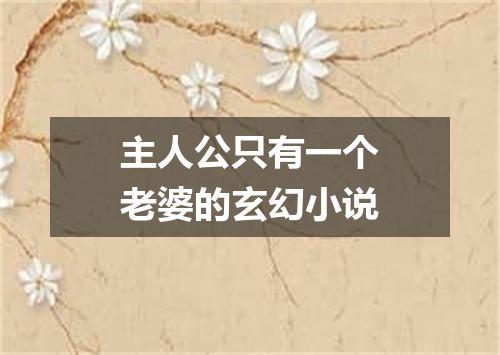 主人公只有一个老婆的玄幻小说