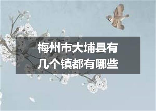 梅州市大埔县有几个镇都有哪些