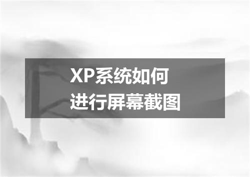 XP系统如何进行屏幕截图