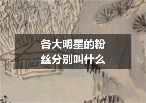 各大明星的粉丝分别叫什么
