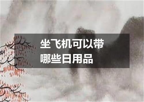 坐飞机可以带哪些日用品