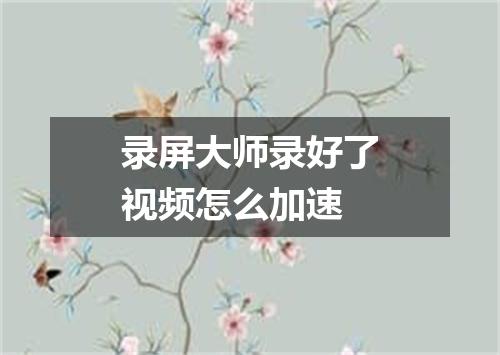 录屏大师录好了视频怎么加速