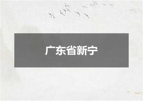 广东省新宁