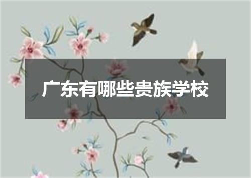 广东有哪些贵族学校