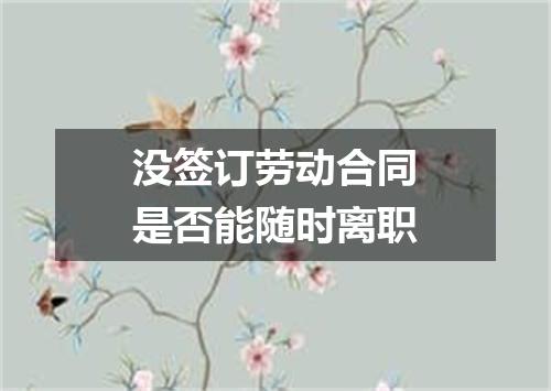 没签订劳动合同是否能随时离职