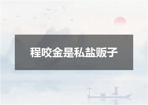 程咬金是私盐贩子