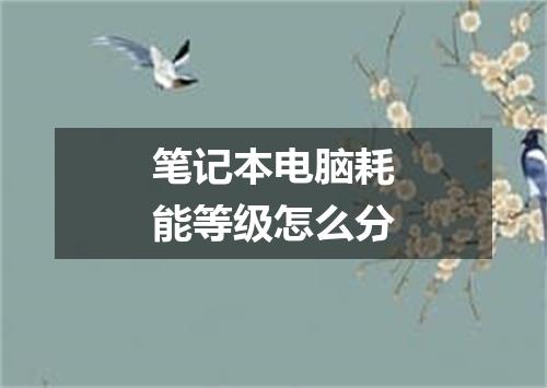 笔记本电脑耗能等级怎么分