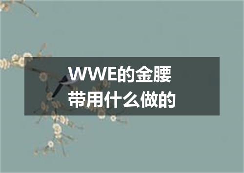 WWE的金腰带用什么做的