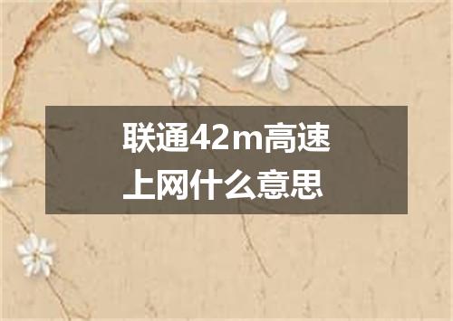 联通42m高速上网什么意思