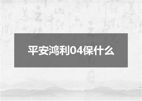 平安鸿利04保什么
